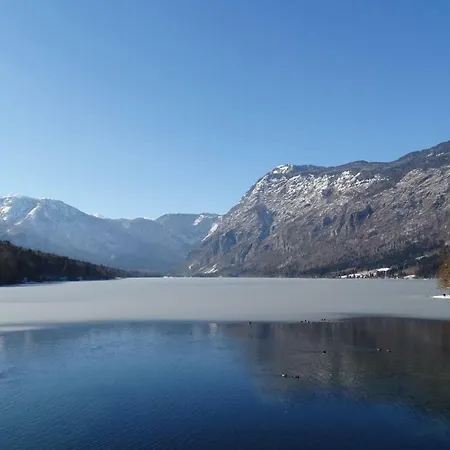 Stunning In Bohinjska Bistrica With 1 Bedrooms And Wifi * Bohinji-tó